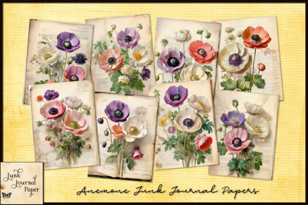 Anemone Flowers
