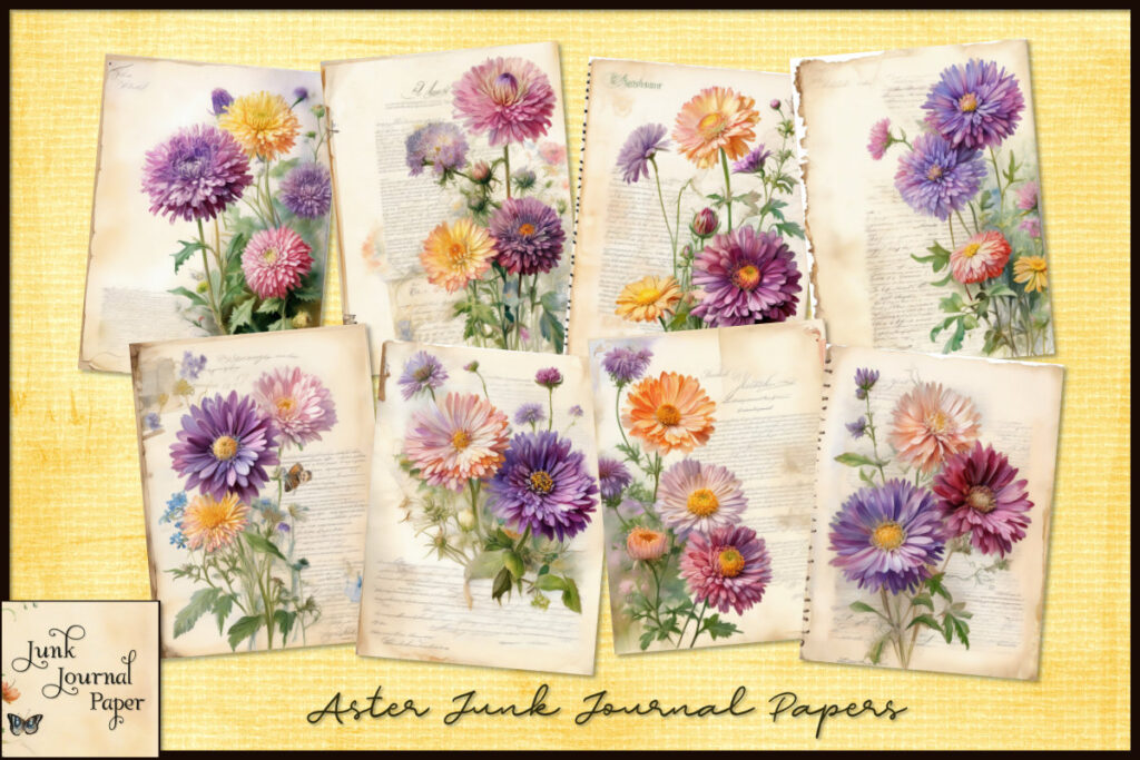 Aster Flowers
