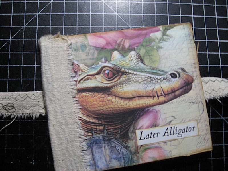 Later Alligator
